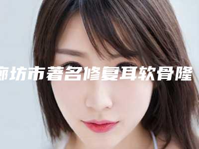 廊坊市著名修复耳软骨隆鼻医院-廊坊韩誉国都医疗整形不吹不黑进来了解